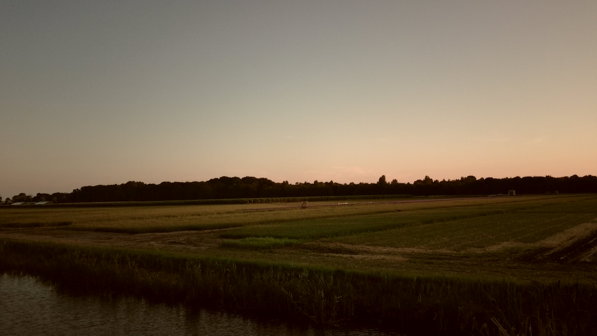 Fields at dusk